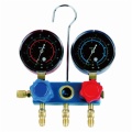 2-Valve Diaphragm Manifolds With Sightglass & 1/4 SAE Fittings