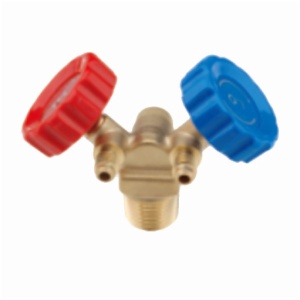 Two-Port Steel Cylinder Valve